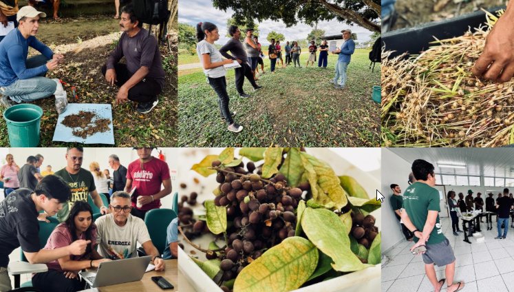 Viveiro de mudas na Fazenda Experimental da Ufam é destaque em projeto de restauração ecológica